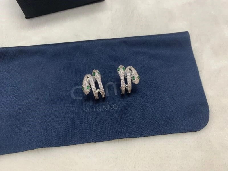 Practical Apm Earrings 214794