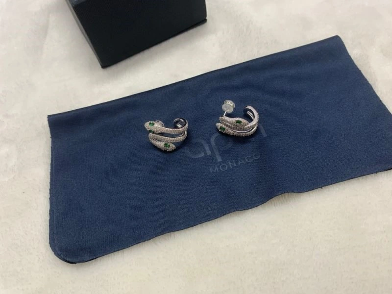 Practical Apm Earrings 214794