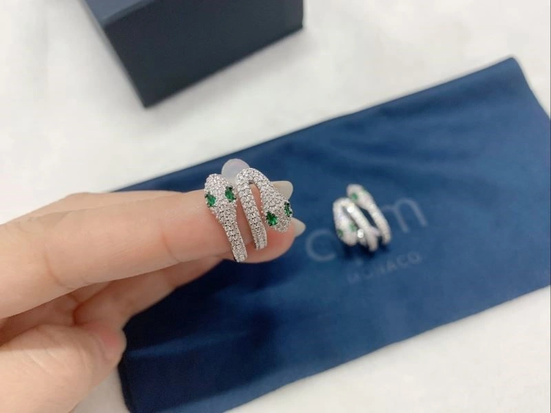 Practical Apm Earrings 214794