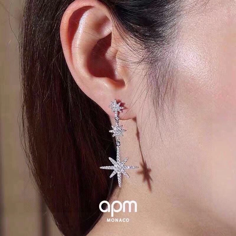 Apm Earrings SmoothTexture 214781