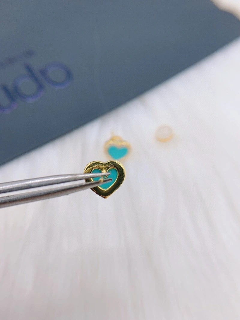 Apm Earrings OdorResistant 214784