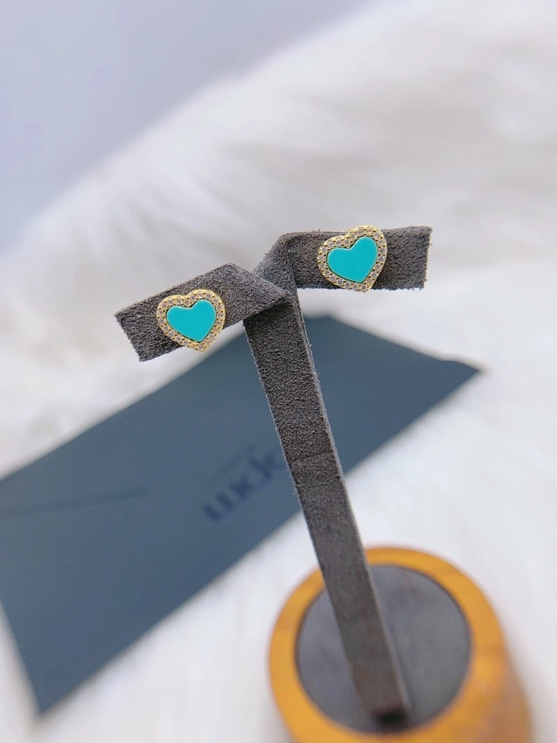 Apm Earrings OdorResistant 214784
