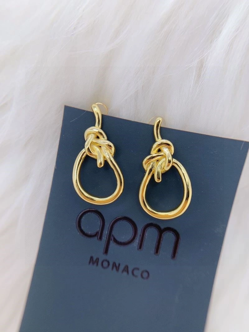 WellDesigned Apm Earrings 214773