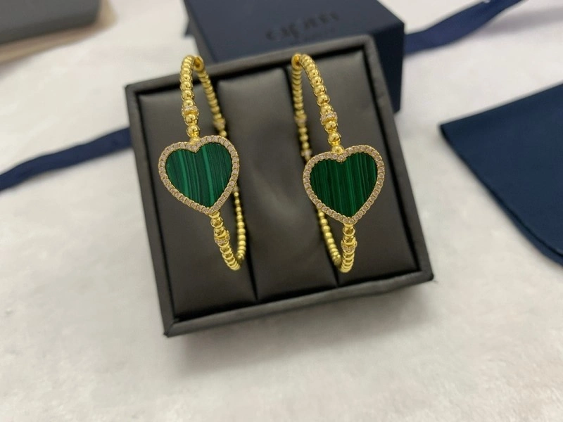 Apm Earrings Modern 214718