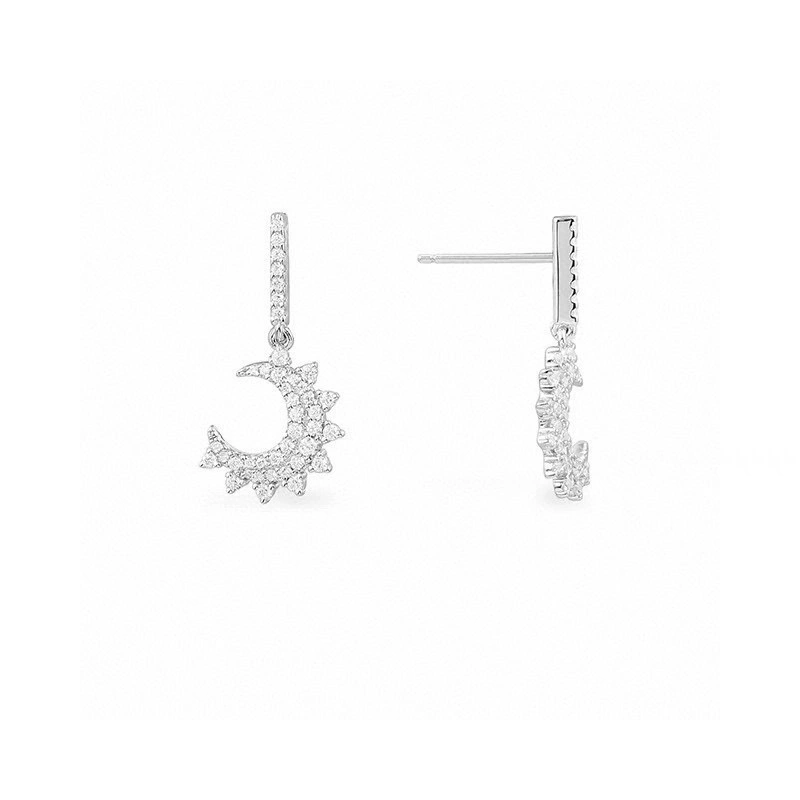 TravelReady Apm Earrings 214717