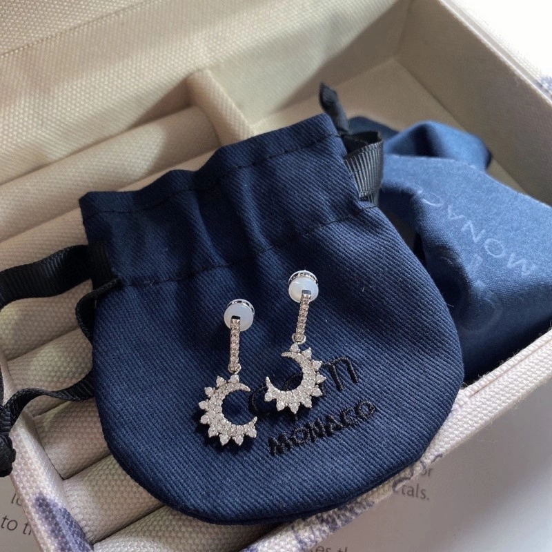 TravelReady Apm Earrings 214717