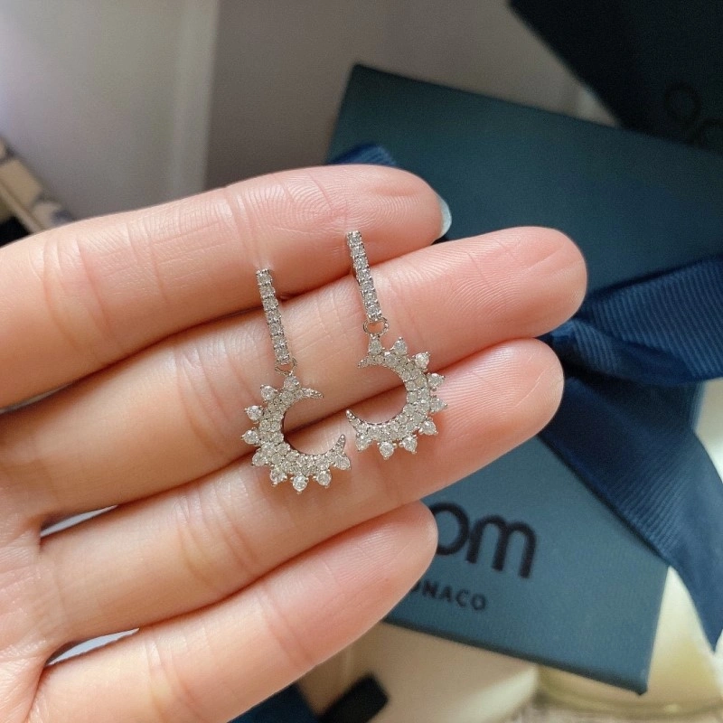 TravelReady Apm Earrings 214717