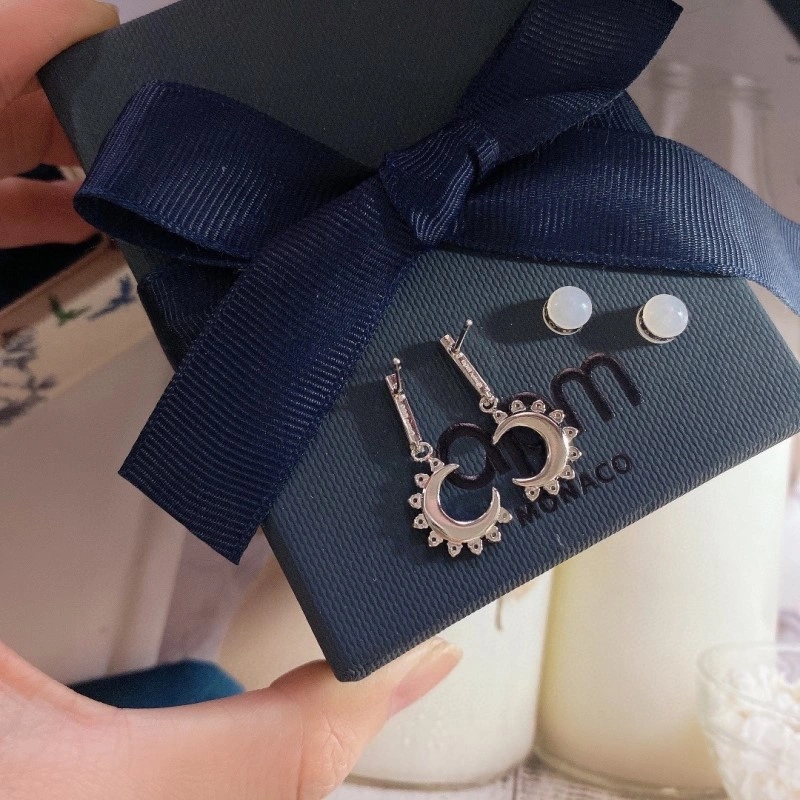 TravelReady Apm Earrings 214717