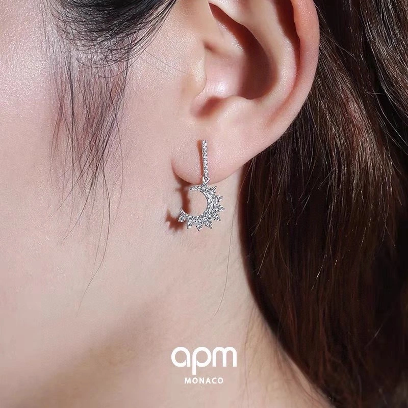 TravelReady Apm Earrings 214717