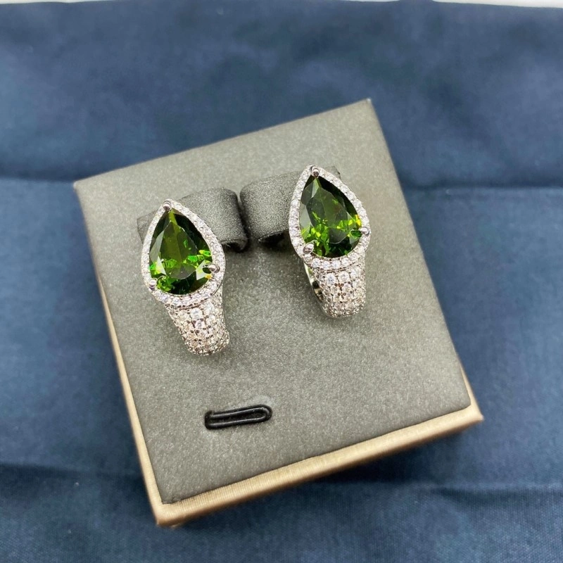 Apm Earrings Attractive 214711