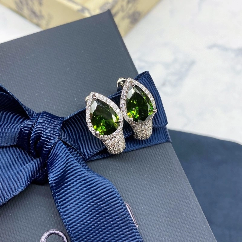 Apm Earrings Attractive 214711