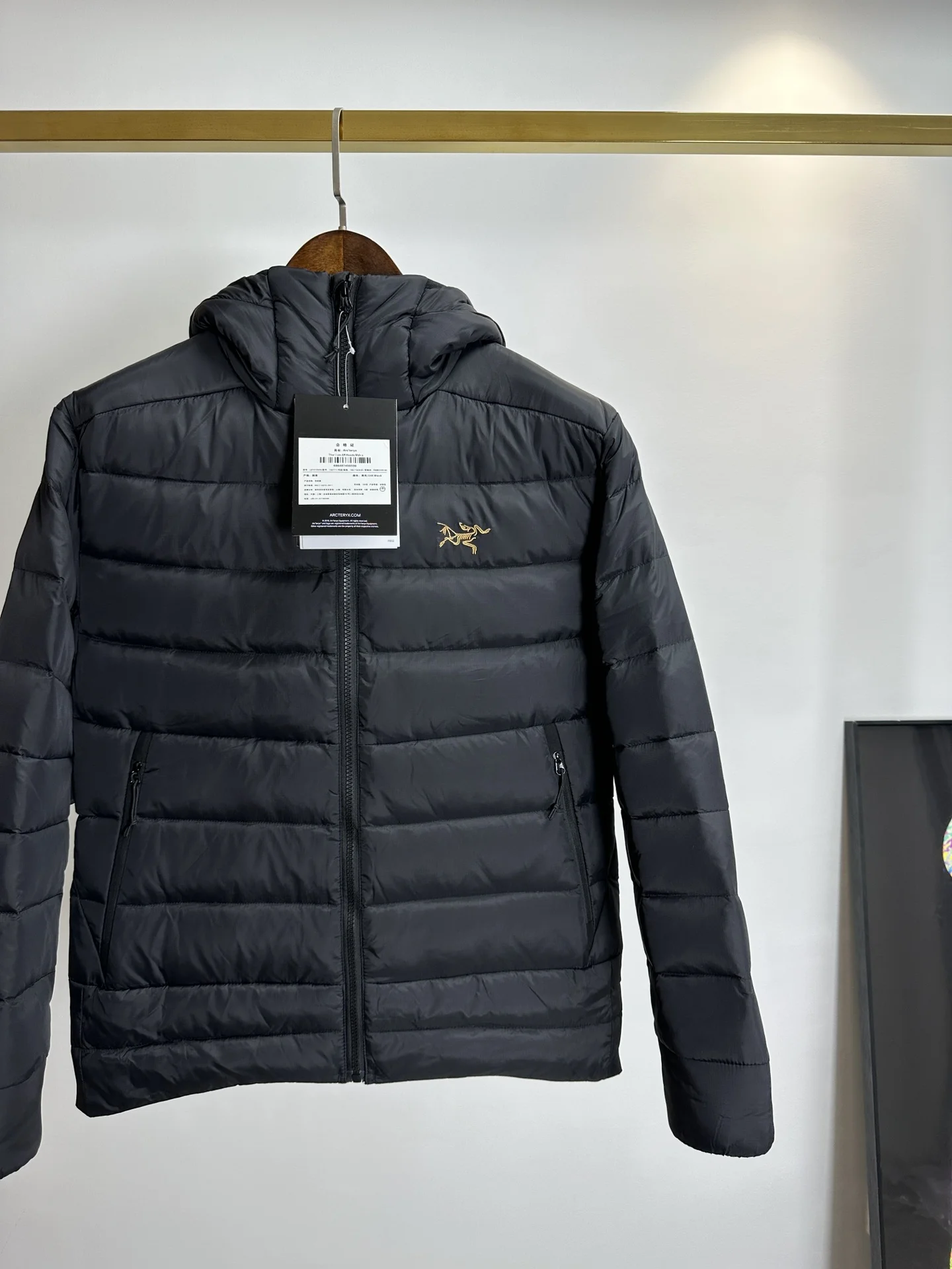 Trendsetting Arcteryx Down Jackets 165096