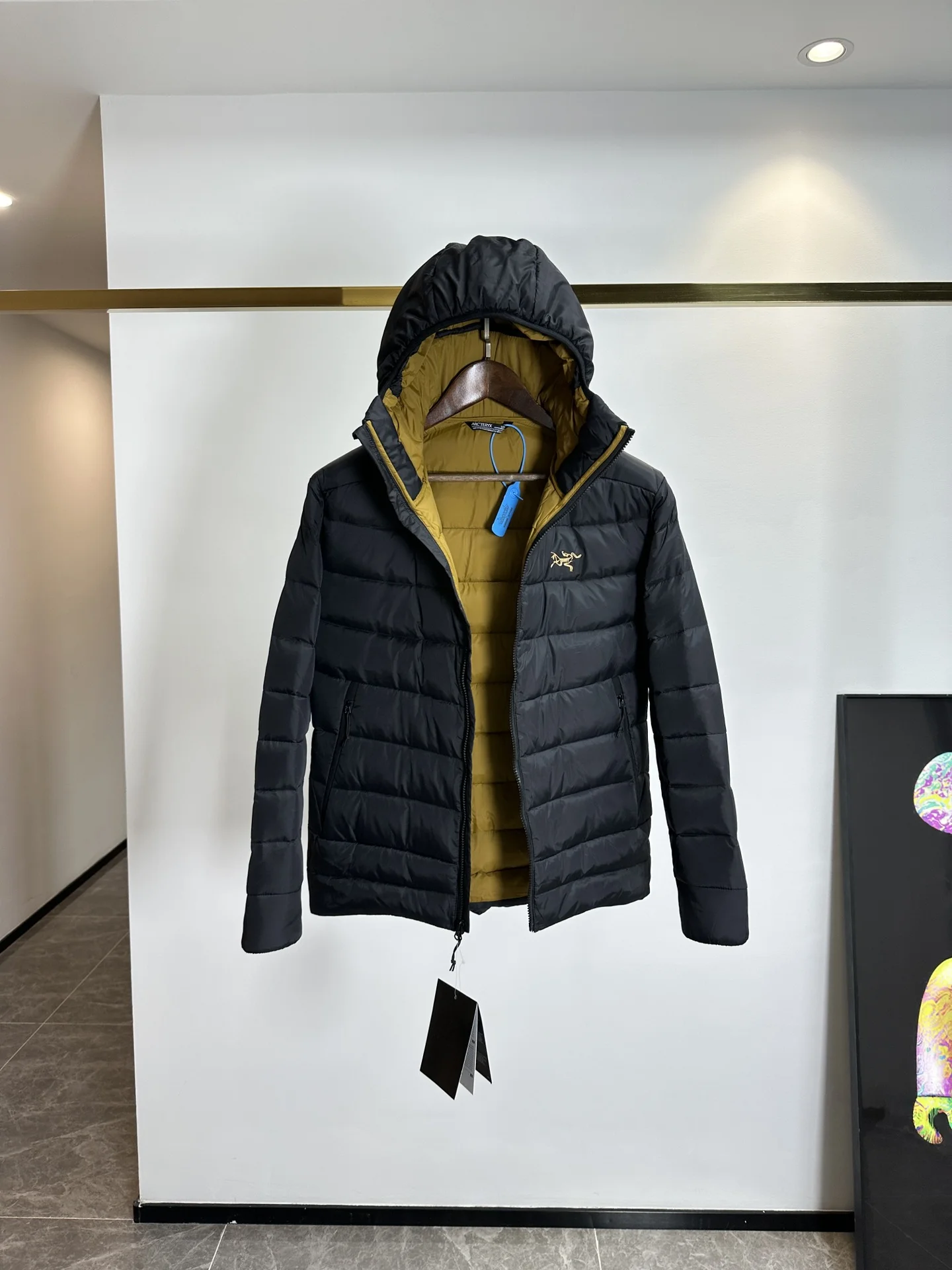 Trendsetting Arcteryx Down Jackets 165096