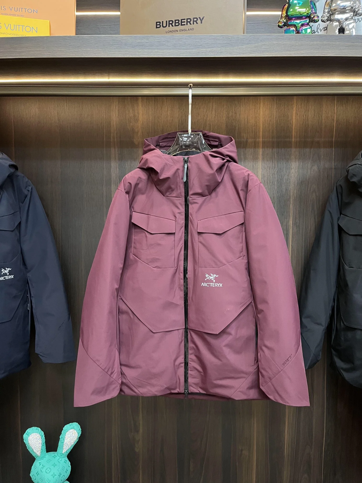 UrbanChic Arcteryx Down Jackets 165092