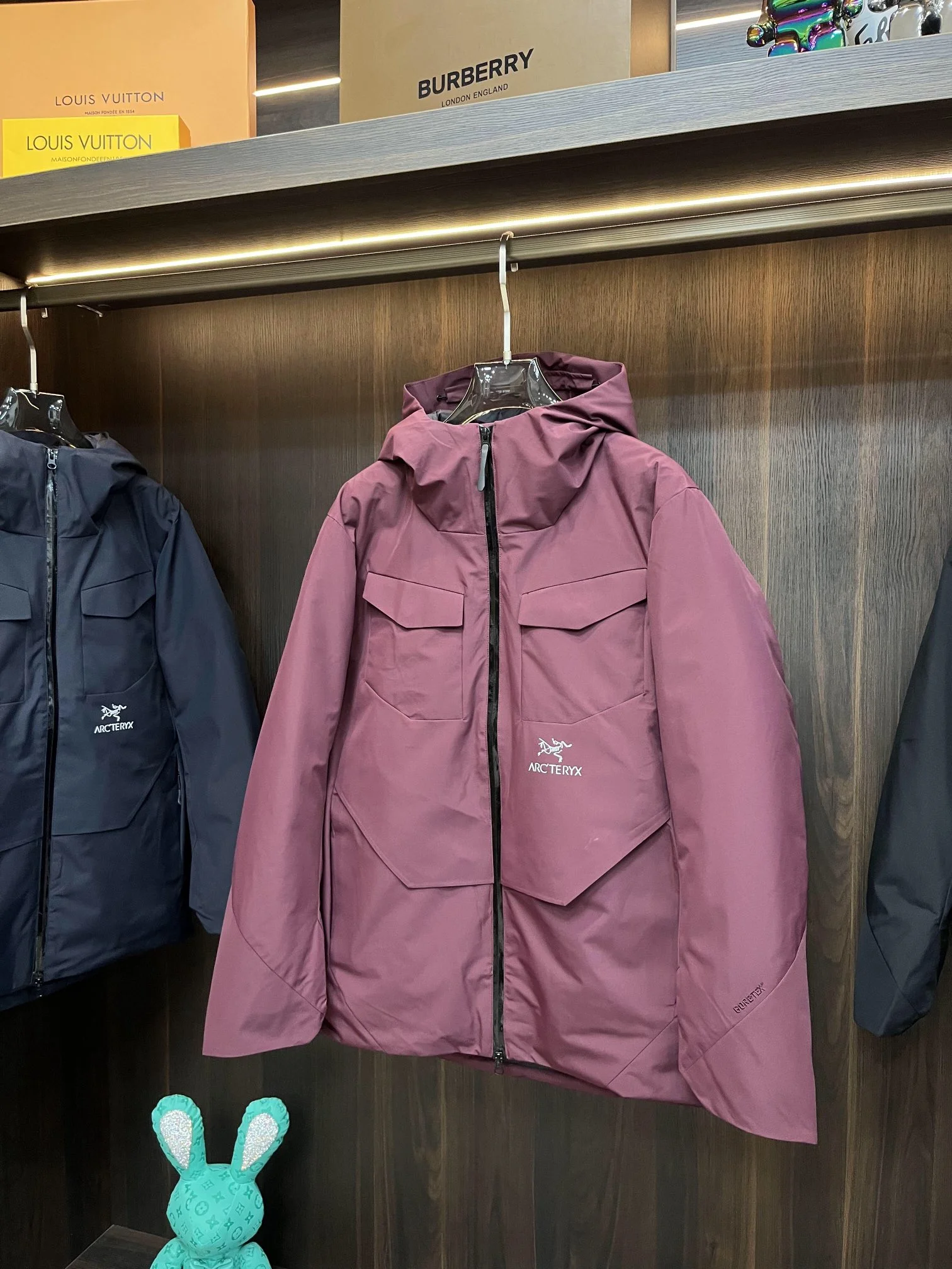 UrbanChic Arcteryx Down Jackets 165092