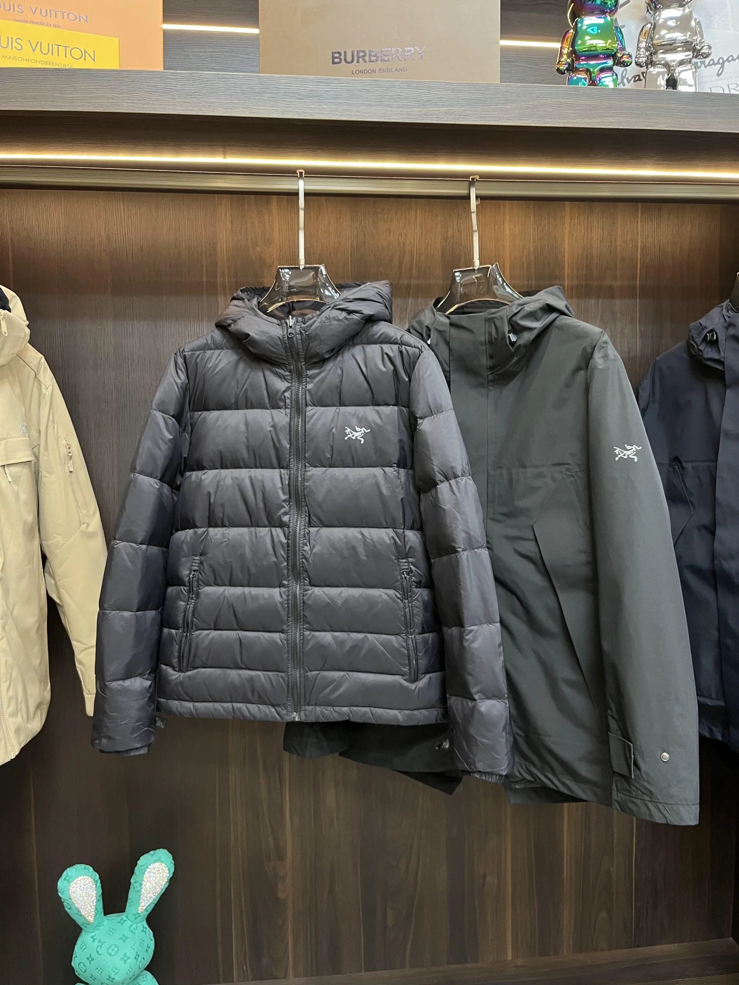 Arcteryx Down Jackets ZeroBulk 165094