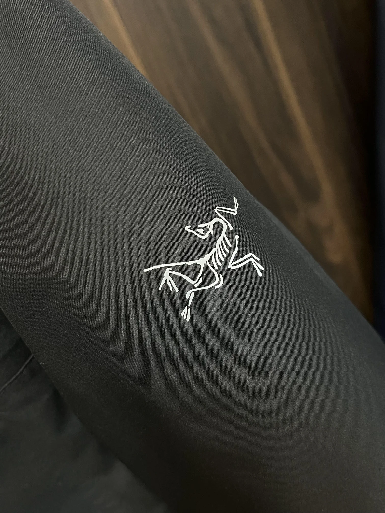 Arcteryx Down Jackets ZeroBulk 165094