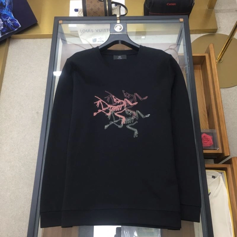 Youthful Arcteryx Hoodies 161208