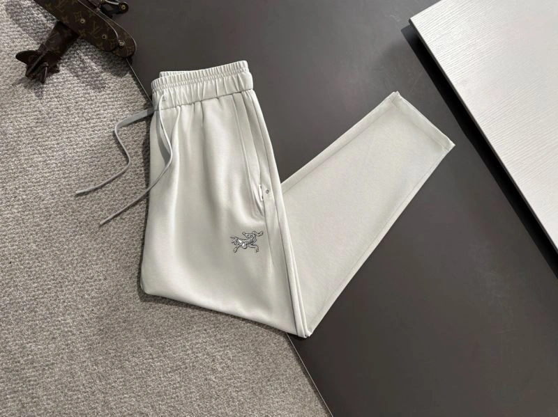 GoAnywhere Arcteryx Long Pants 161201