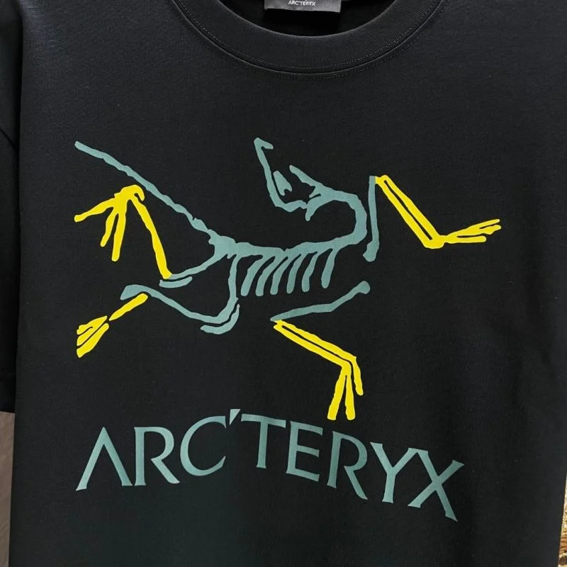 Minimalist Arcteryx T-Shirts 163983