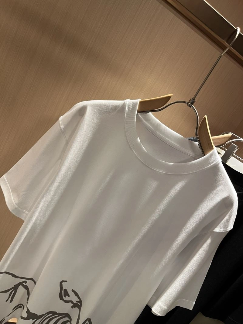 SmoothTexture Arcteryx T-Shirts 162044