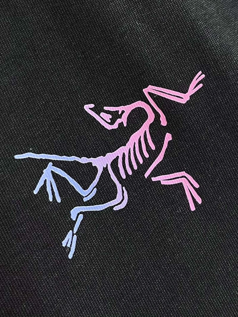 Attractive Arcteryx T-Shirts 162027