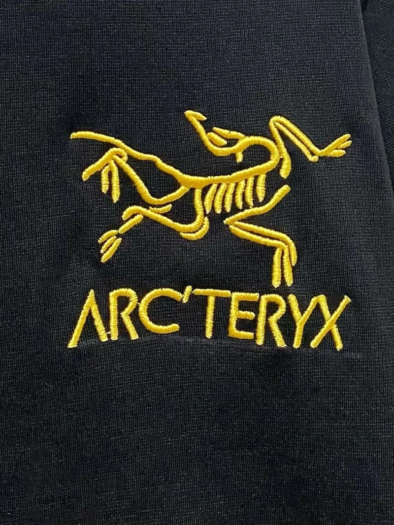 Classic Arcteryx T-Shirts 162024