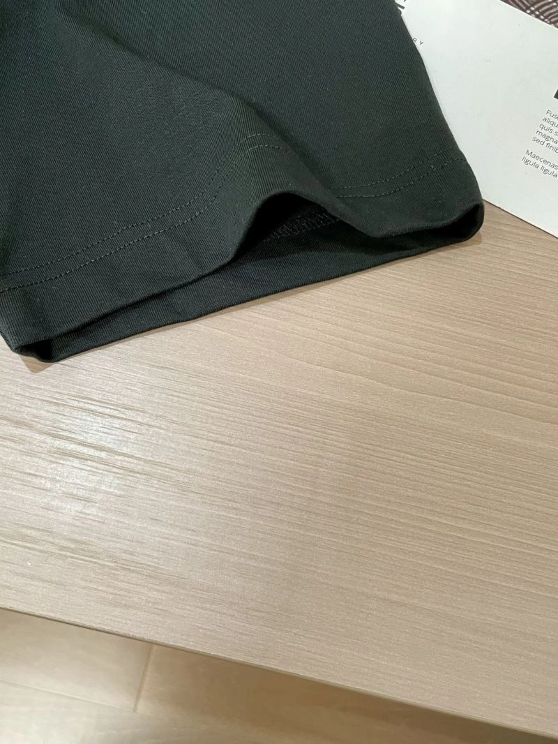 WrinkleFree Arcteryx T-Shirts 161087