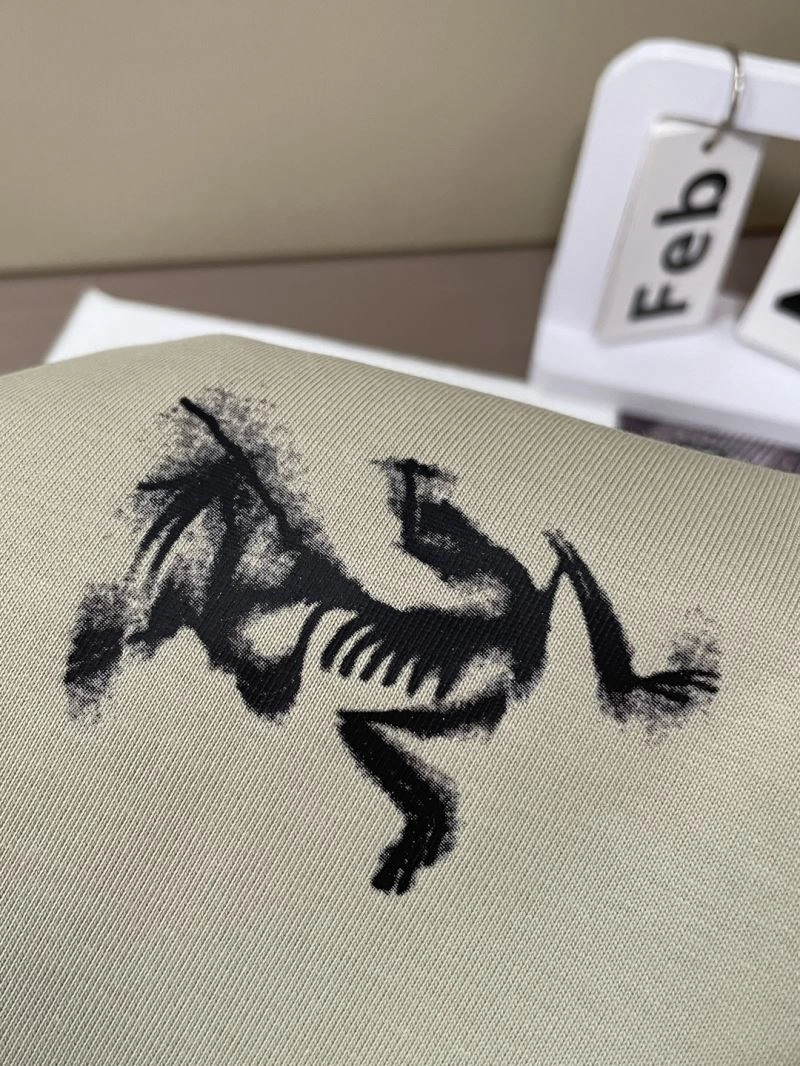 ZeroBulk Arcteryx T-Shirts 161157