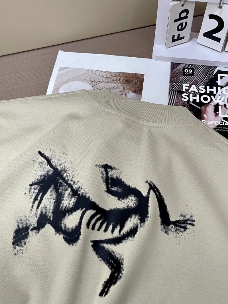 Neat Arcteryx T-Shirts 161055
