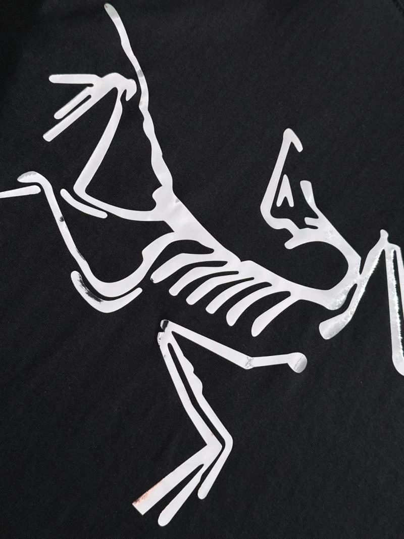 Classic Arcteryx T-Shirts 161023