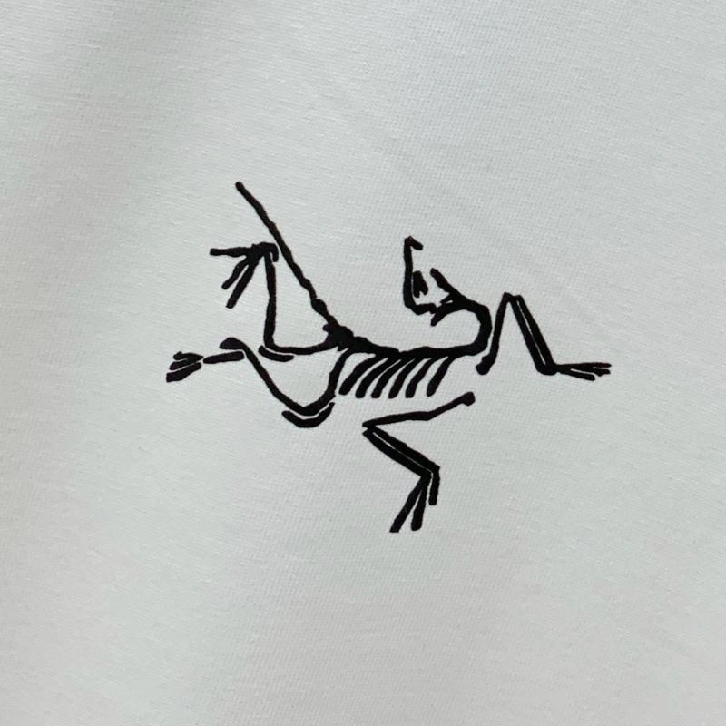 Arcteryx T-Shirts Trendsetting 161005