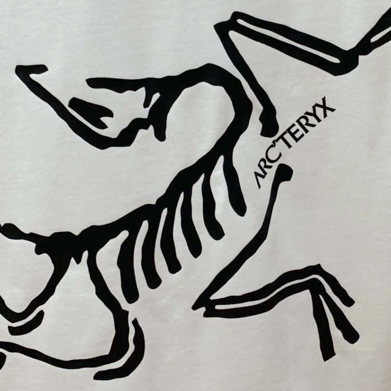 Arcteryx T-Shirts Trendsetting 161005