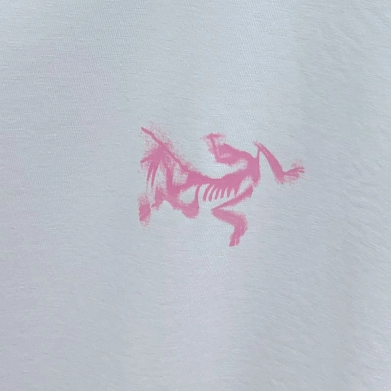 Arcteryx T-Shirts FastDry 161056