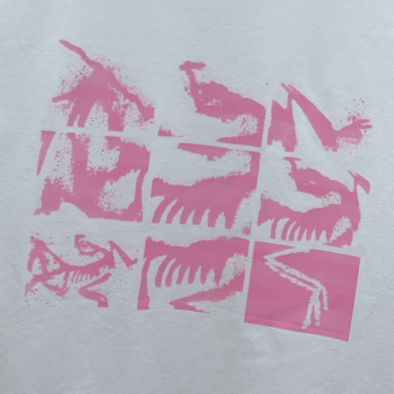 Arcteryx T-Shirts FastDry 161056