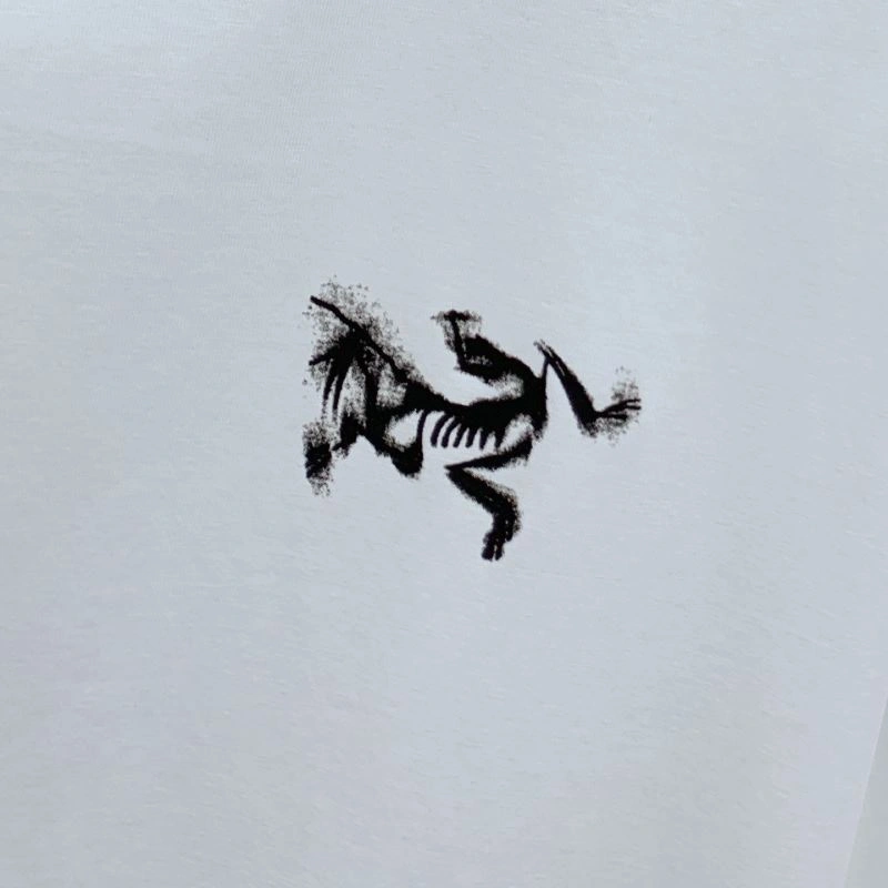 Modern Arcteryx T-Shirts 161016