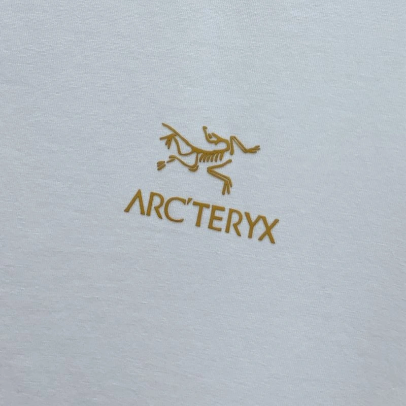Popular Arcteryx T-Shirts 160994