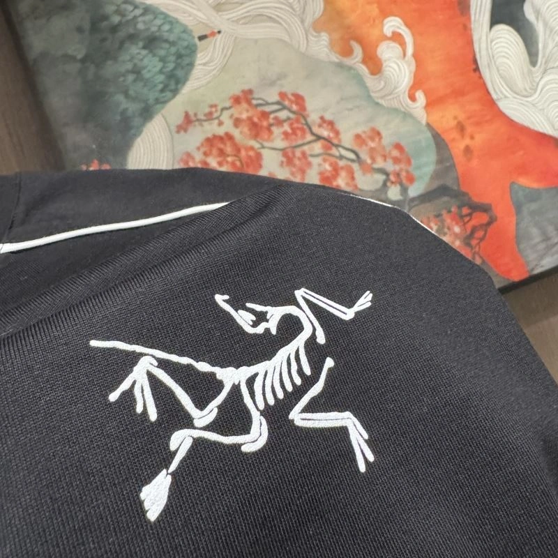 Arcteryx T-Shirts Timeless 159809