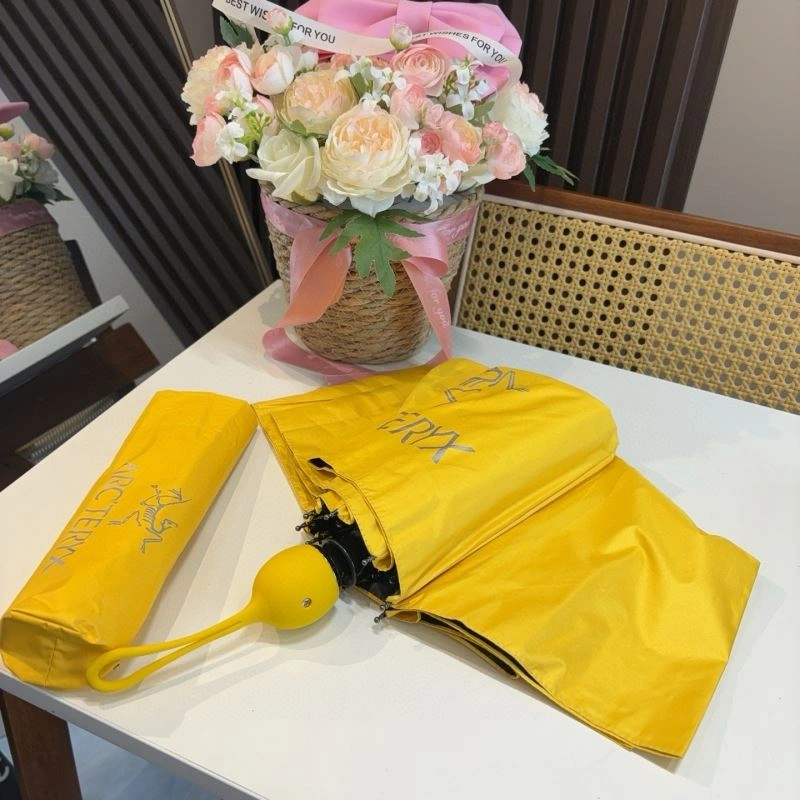 Arcteryx Umbrella DailyWear 276171