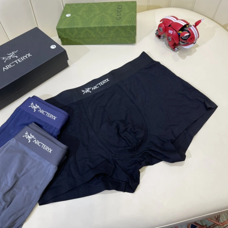 Arcteryx Underwear Unique 276578