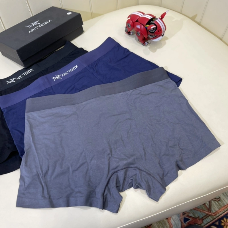 Arcteryx Underwear Unique 276578