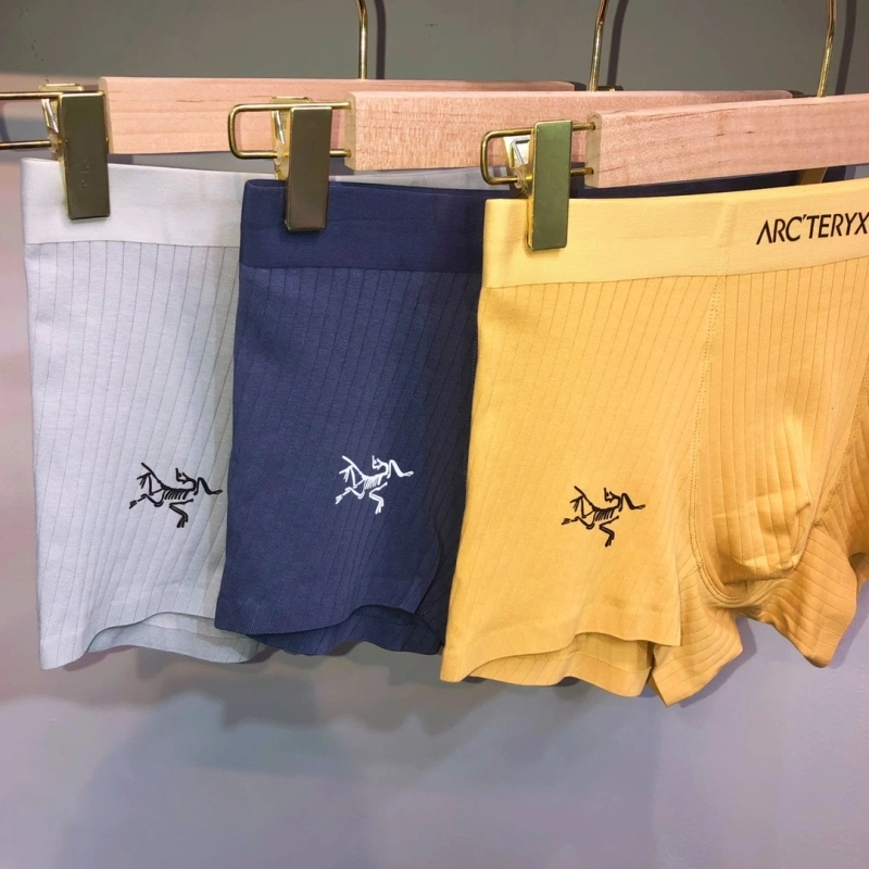 Upgraded Arcteryx Underwear 276575