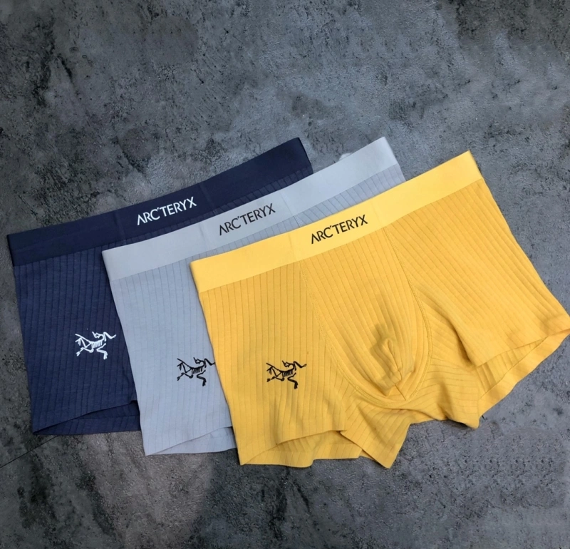 Upgraded Arcteryx Underwear 276575