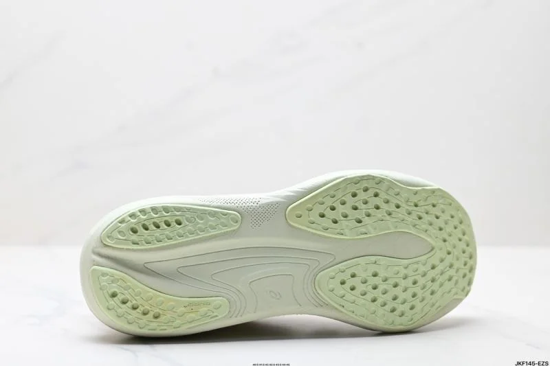 Asics Shoes Thermal 3697