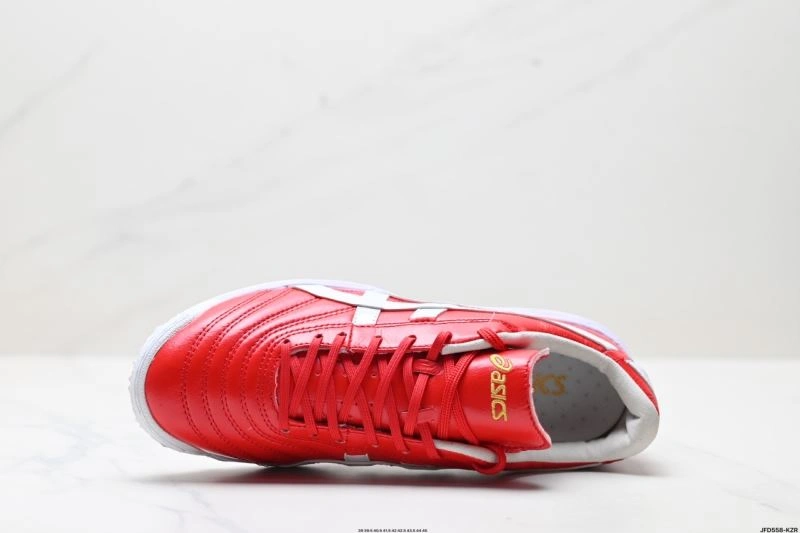 Vibrant Asics Shoes 2702