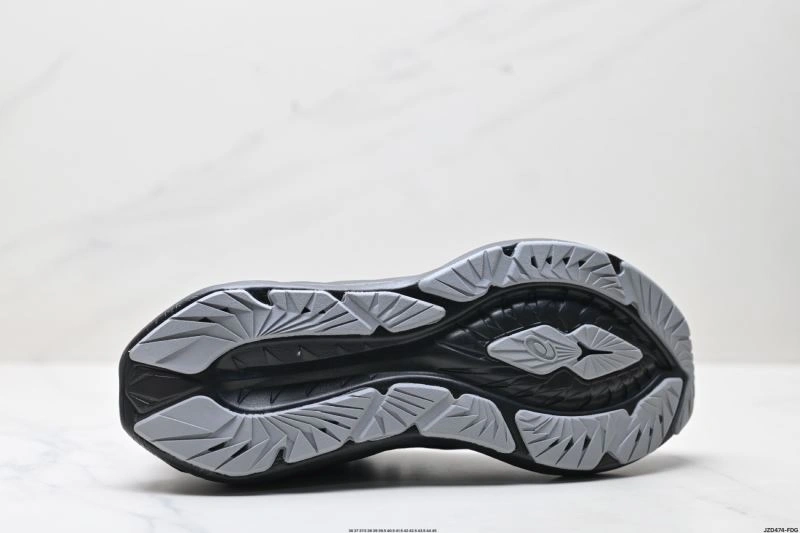 WaterResistant Asics Shoes 2580