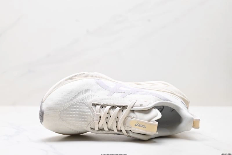 Comfortable Asics Shoes 2559