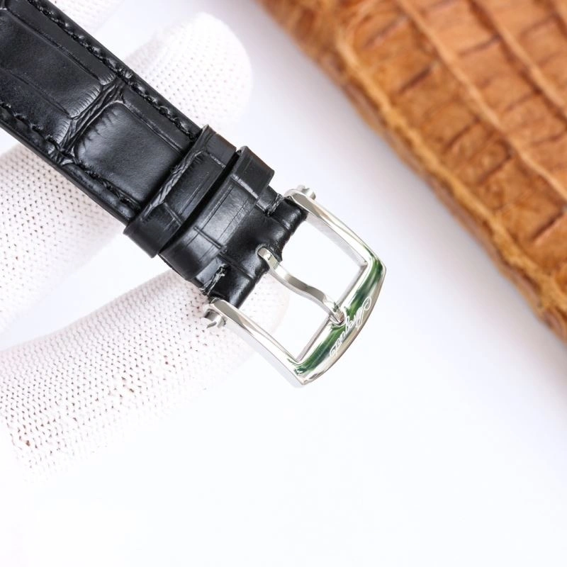 BREGUET Watches QuickDry 177478