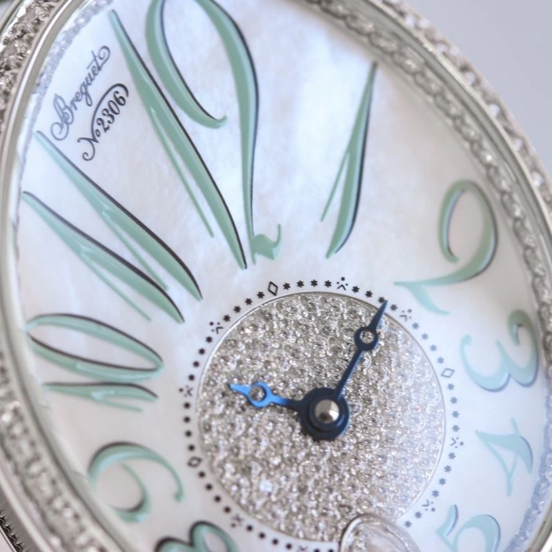 Snug BREGUET Watches 177426