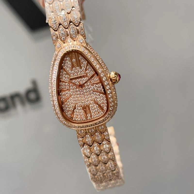 BVLGARI Watches Vibrant 178330